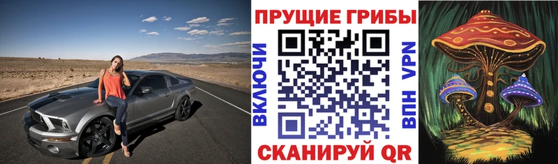 Галлюциногенные грибы прущие грибы  Балашиха 